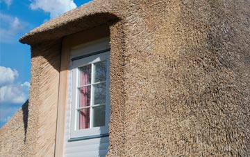 Fletchersbridge thatch roof disadvantages